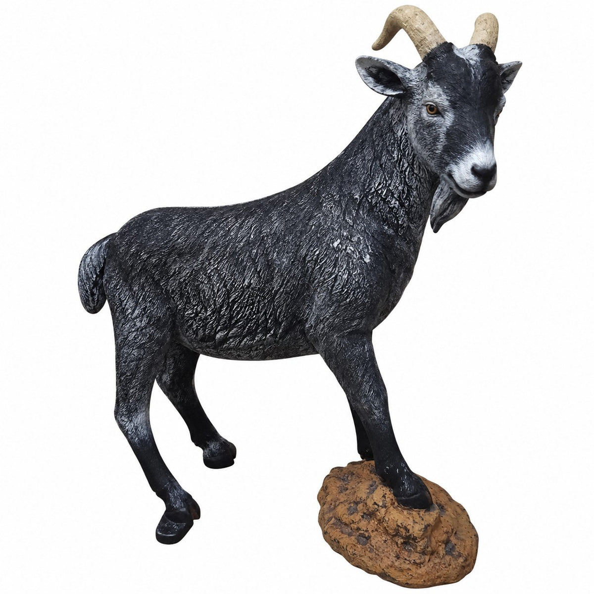 Goat on Rock