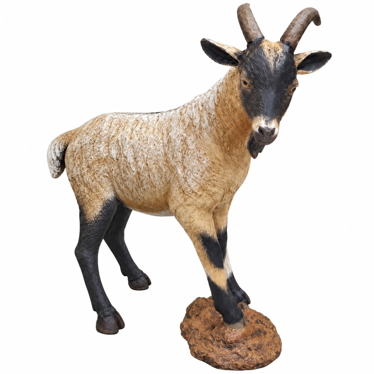 Goat on Rock