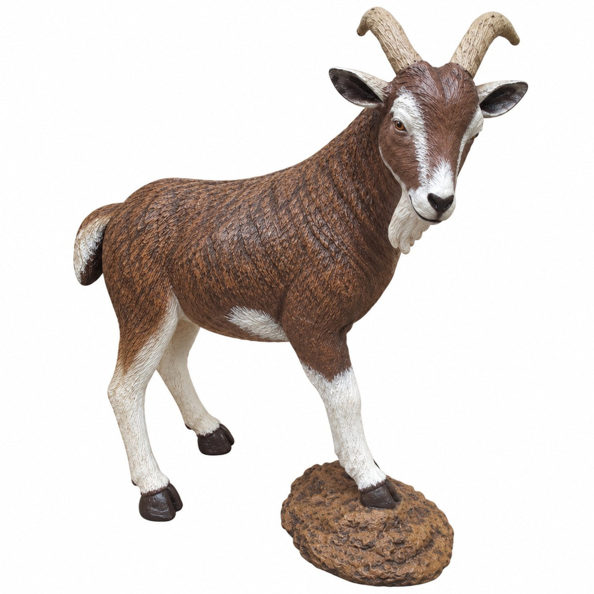 Goat on Rock
