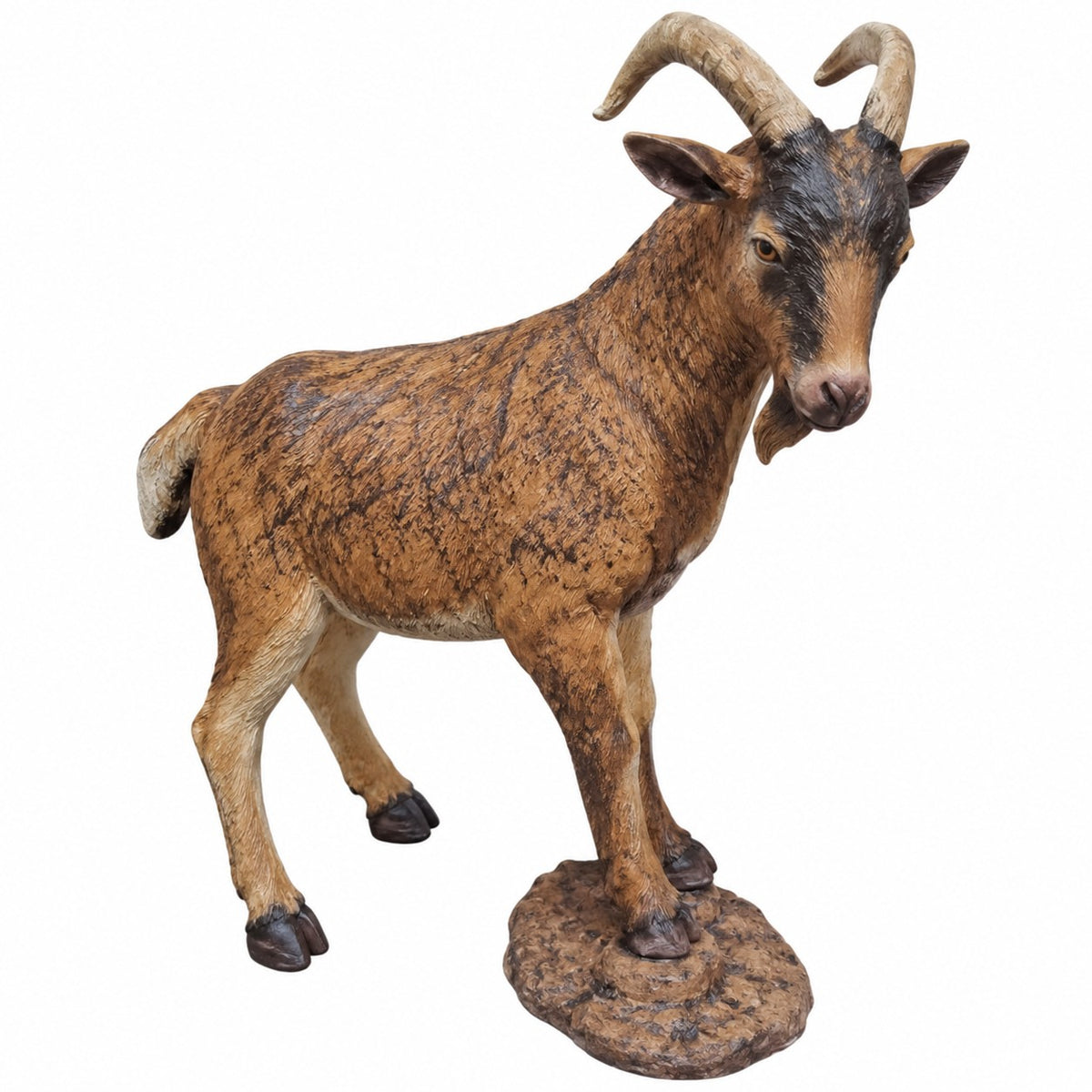 Goat on Rock
