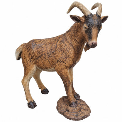 Goat on Rock