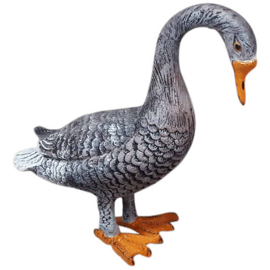 Standing Goose Head Down