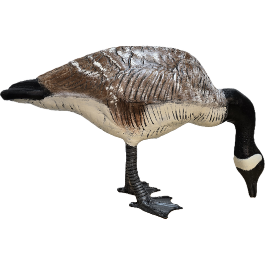 Large Down Headed Goose