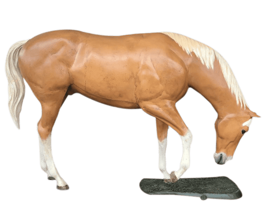 Grazing Horse