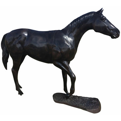 Grazing Horse Head Up