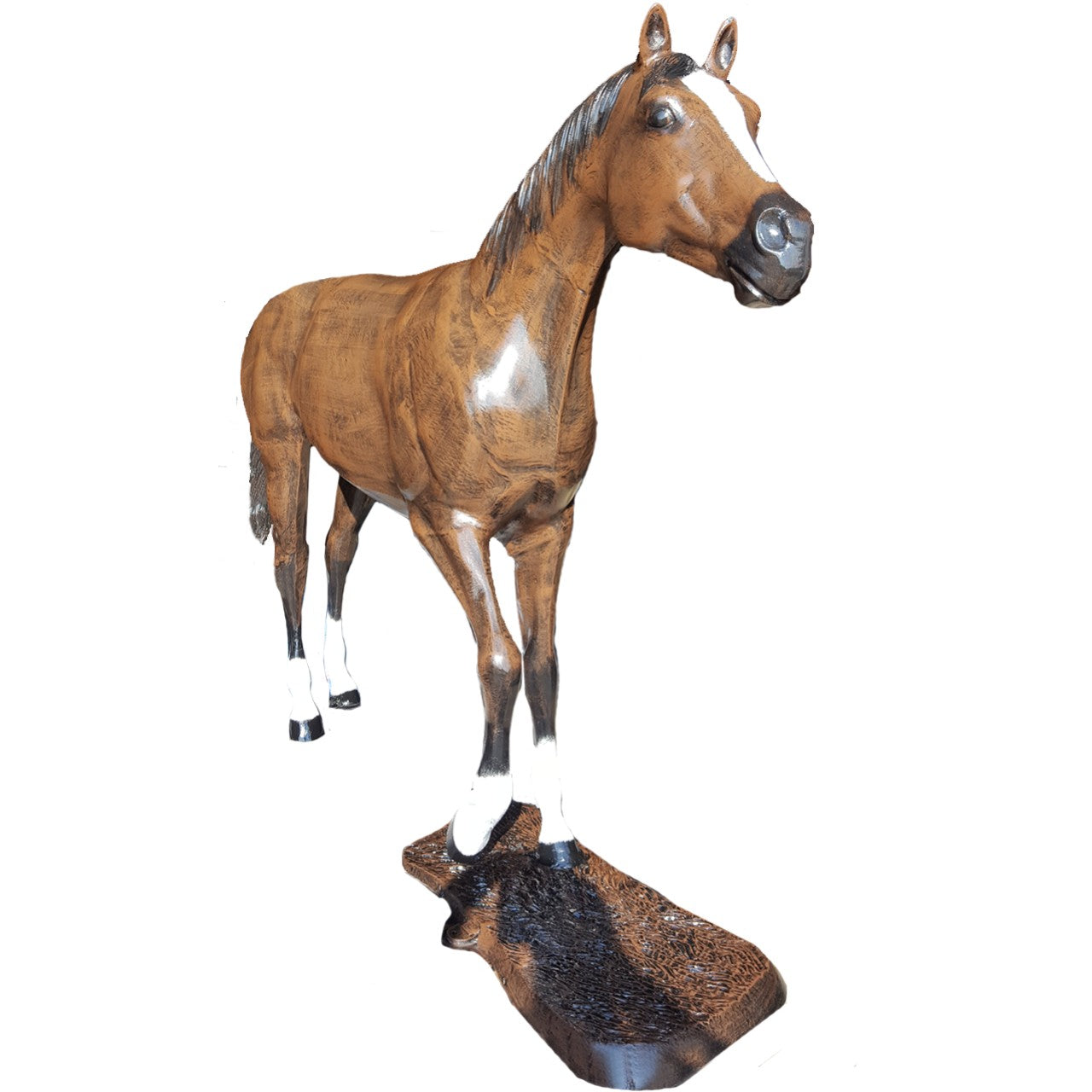 Grazing Horse Head Up