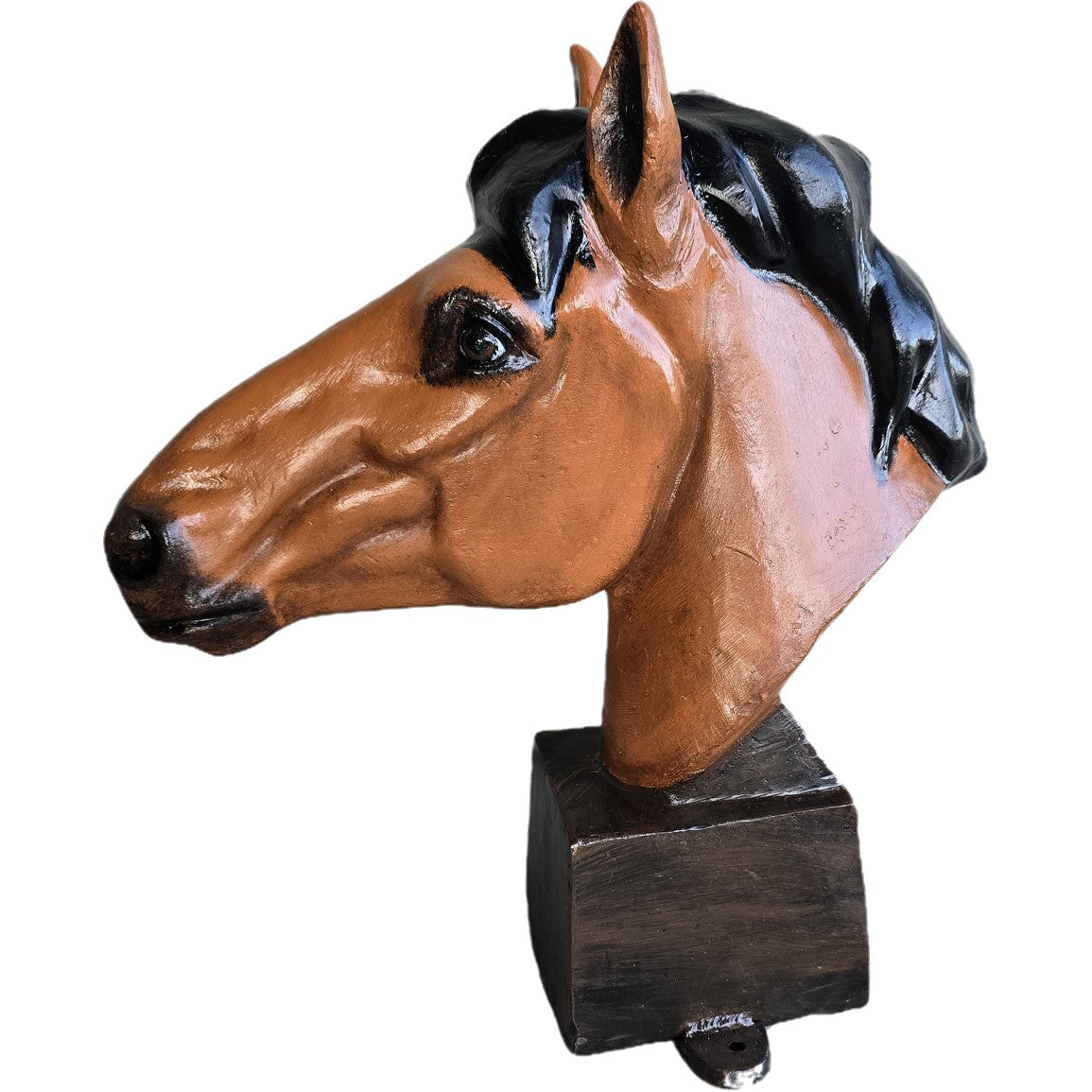 Large Horse Head