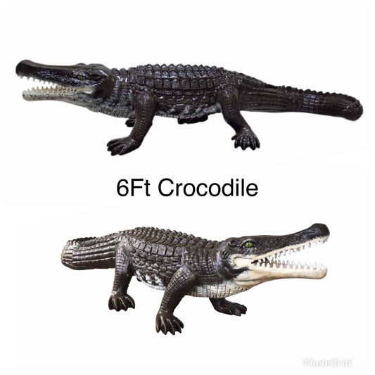 Extra Large Crocodile