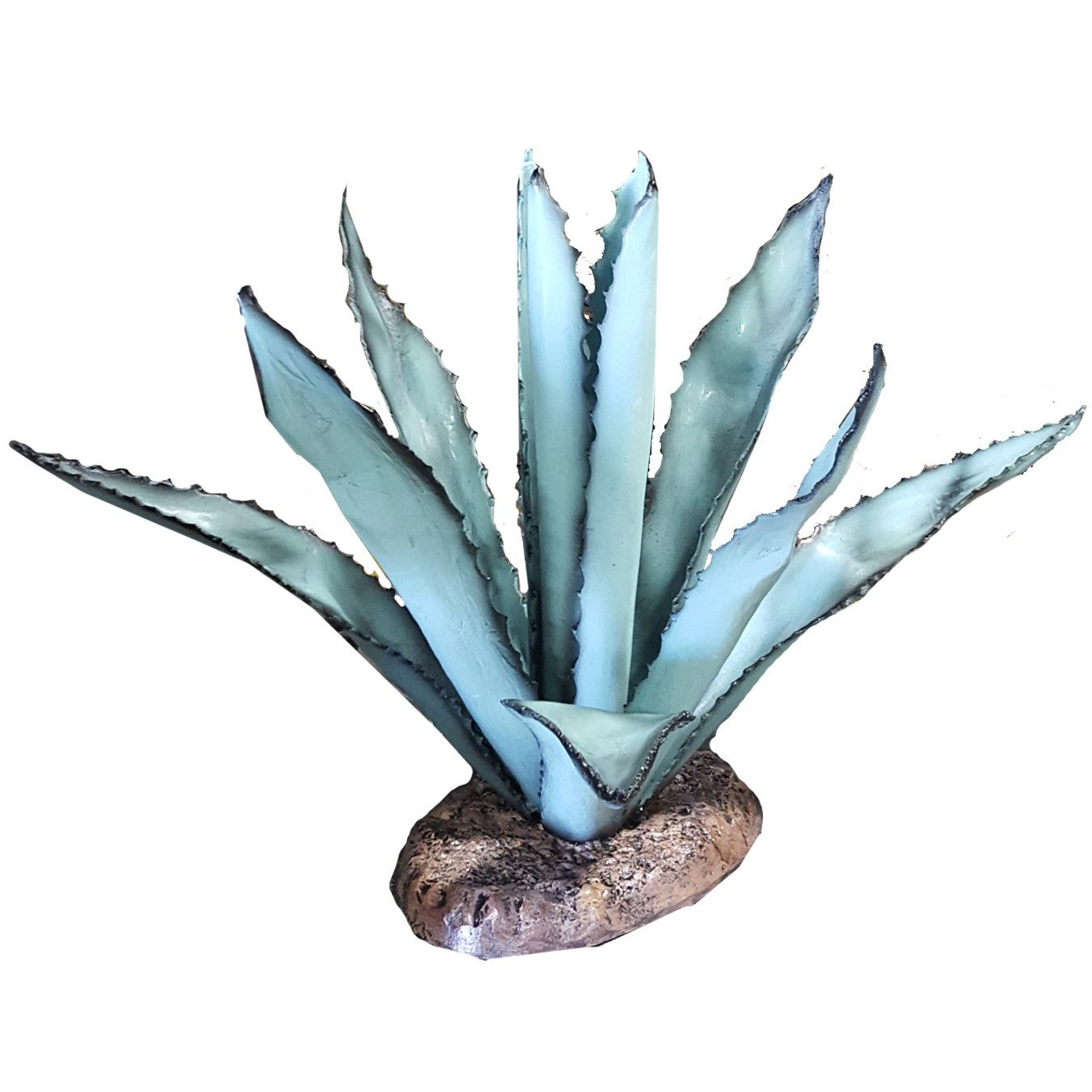 Large Agave
