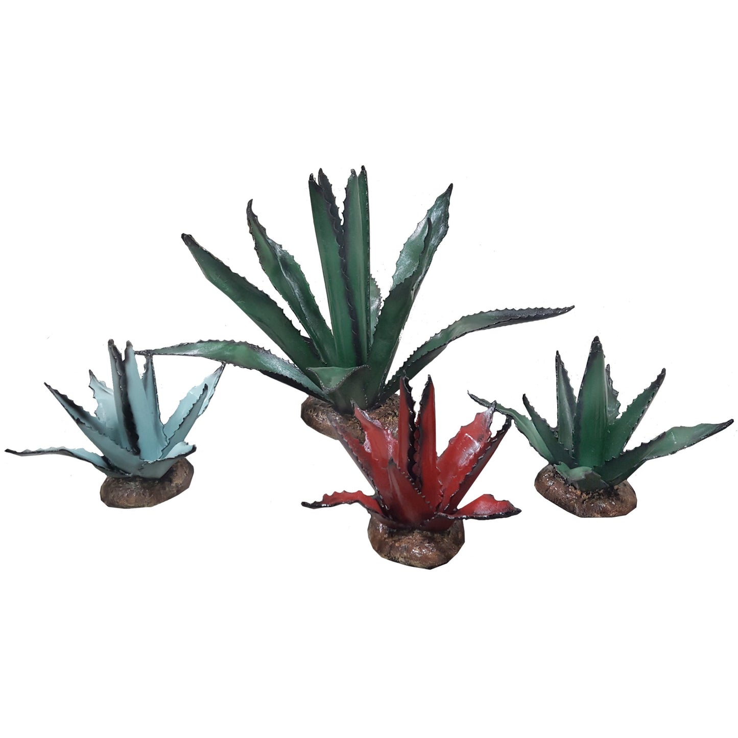 Large Agave