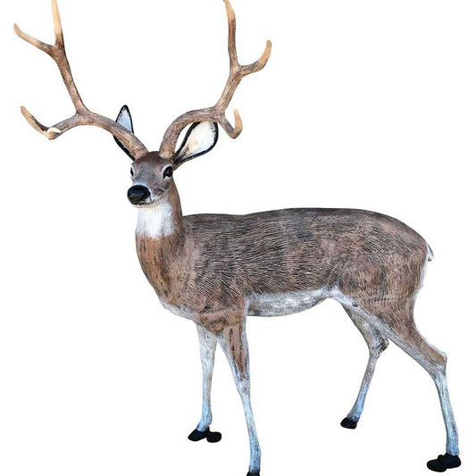Large Deer Buck