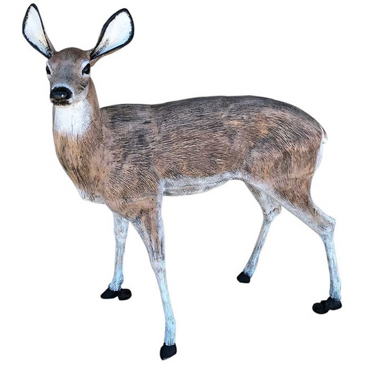 Large Deer Doe