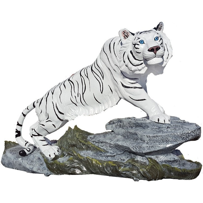 Large Tiger on Rock