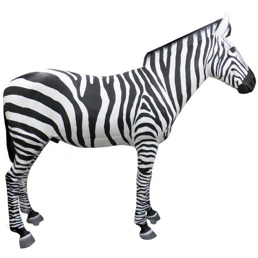 Large Zebra