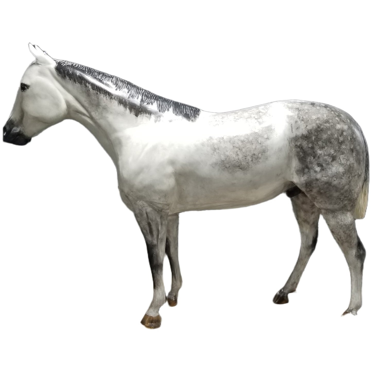 Large Quarter Horse