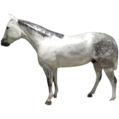 Large Quarter Horse