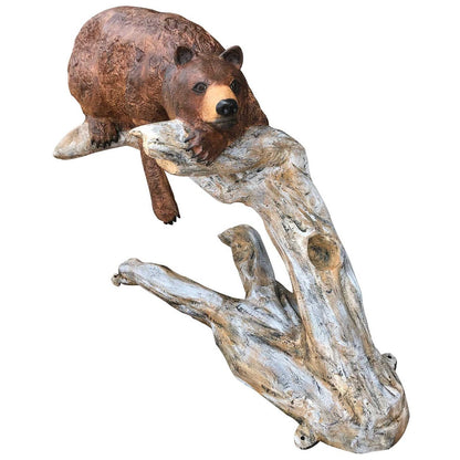 Laying Down Bear on Tree Branch