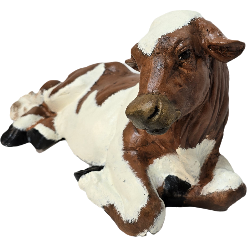 Little Laying Down Cow No Horns