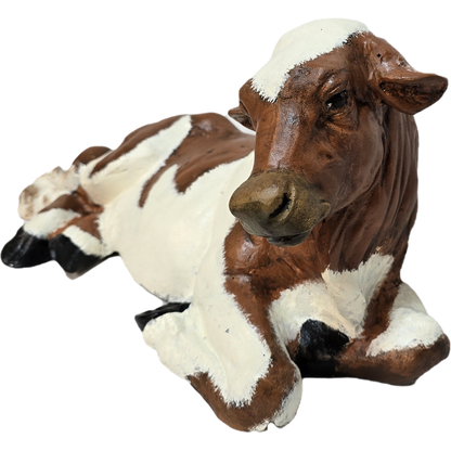 Little Laying Down Cow No Horns