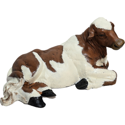 Little Laying Down Cow No Horns