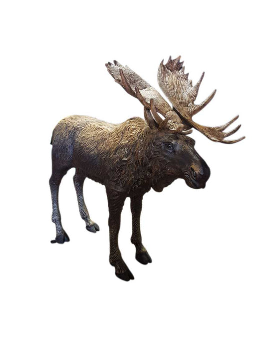 Large Moose