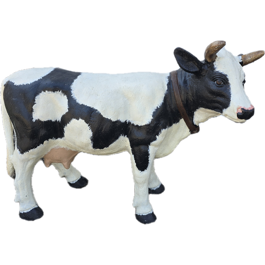 Little Cow with Horns