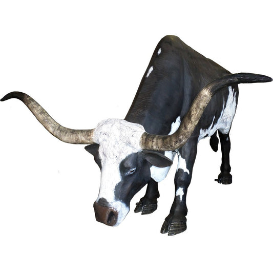 Grazing Longhorn