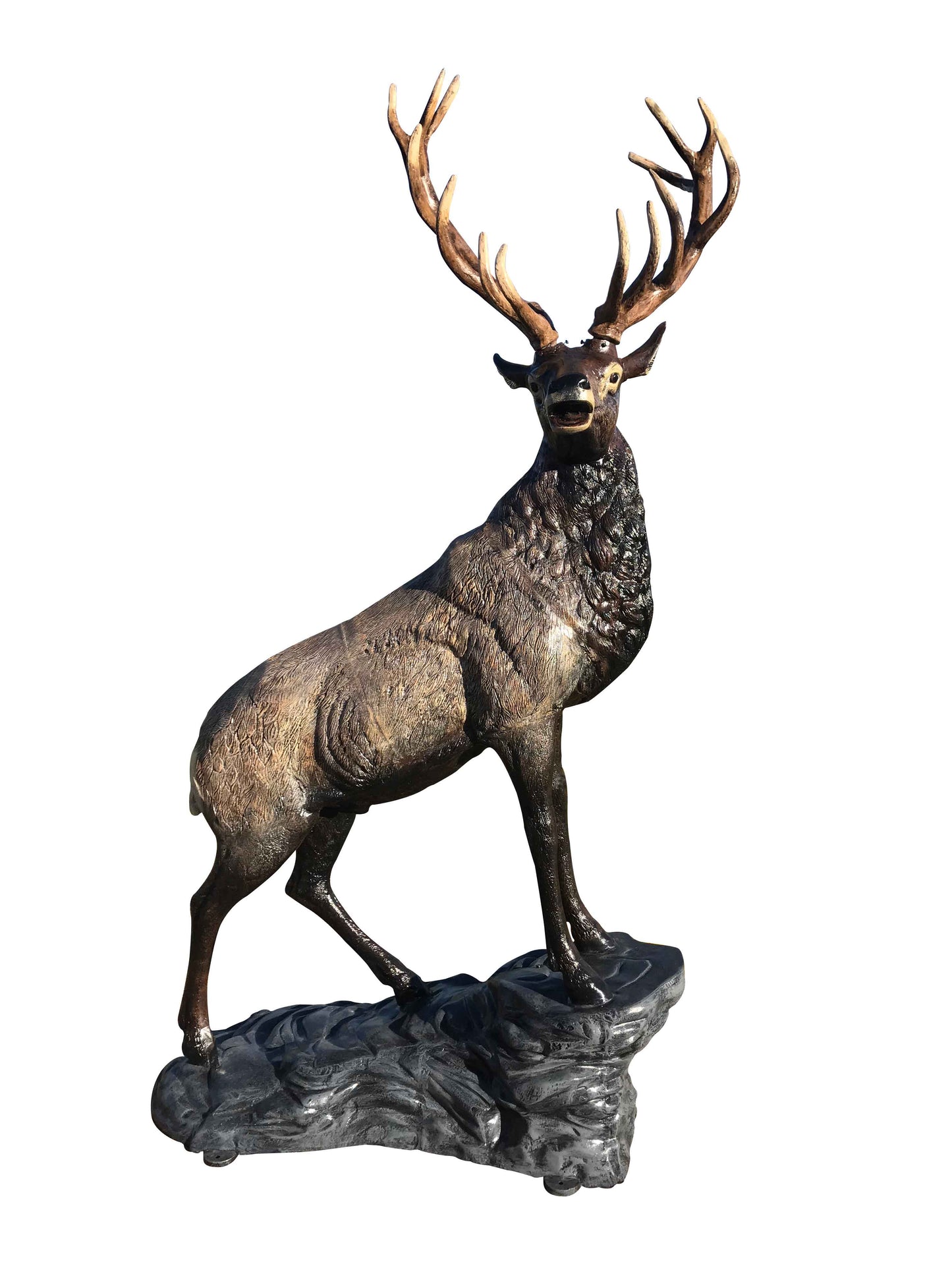 Elk on Rock Head Turned Right