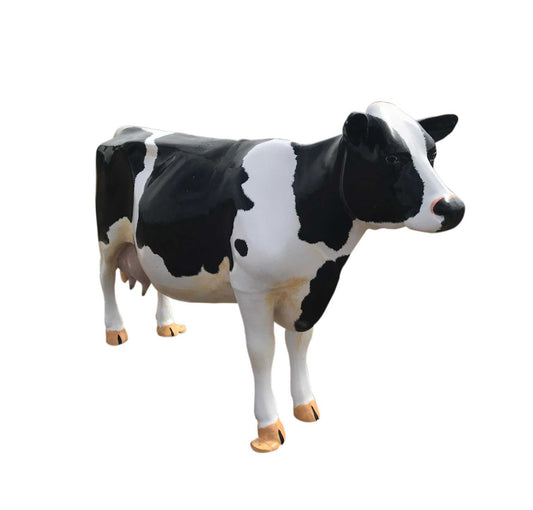 Milk Cow