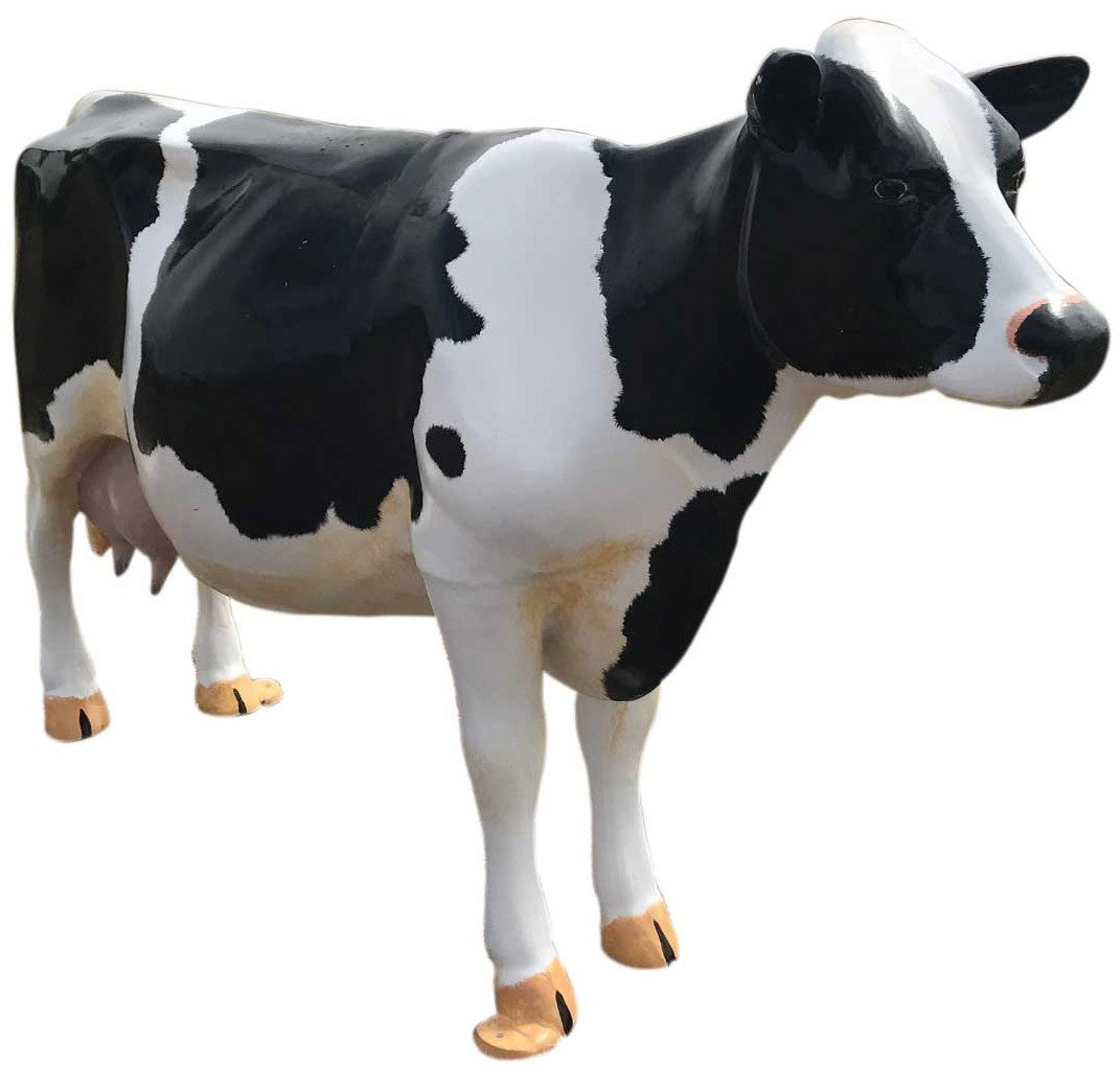 Milk Cow