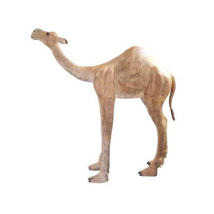 Medium Camel with 1 Hump