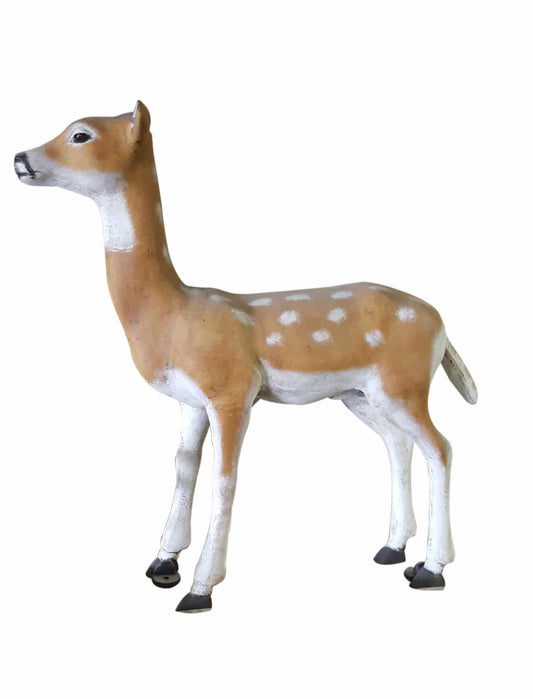 Medium Doe with Spots