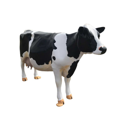 Milk Cow without Horns