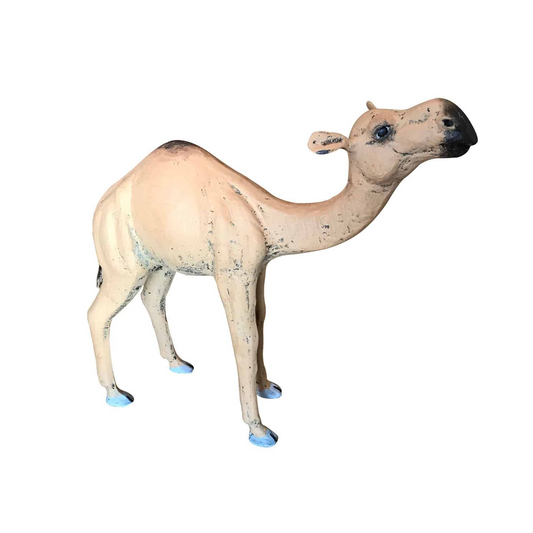 Mini Camel