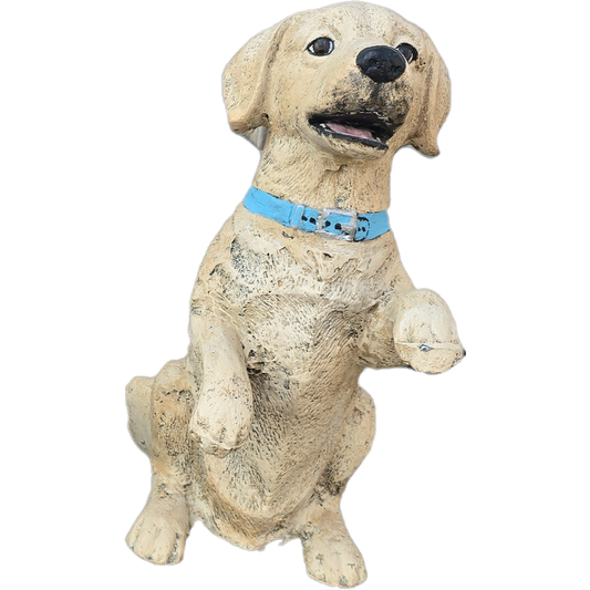 Mini Dog Sitting with Paw Raised