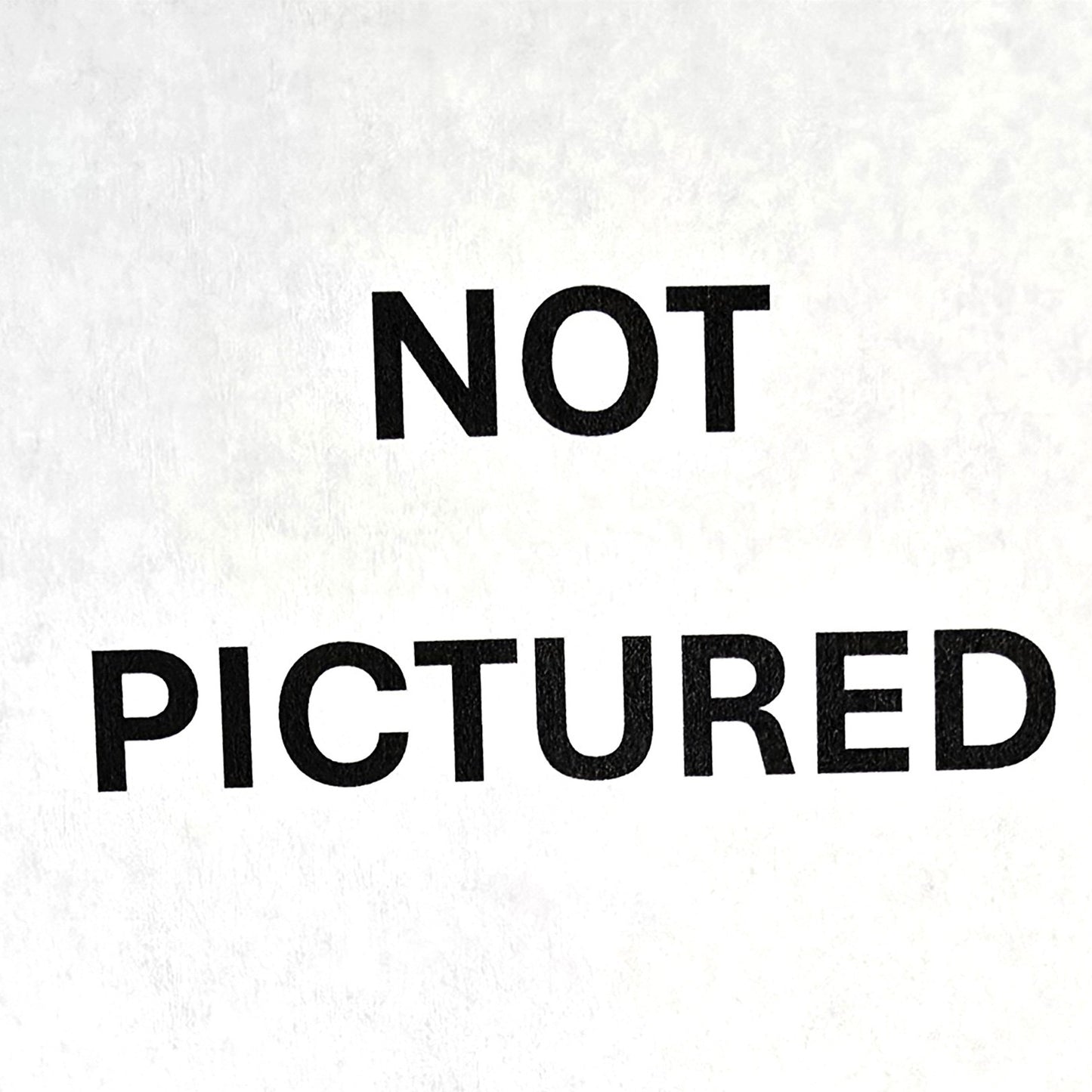 Little Laying Down Cow No Horns