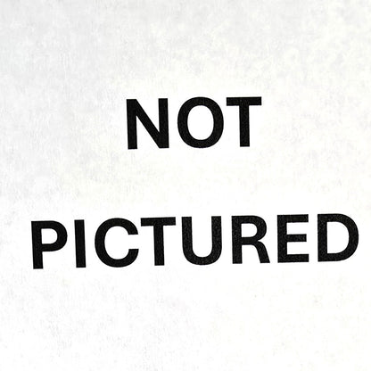 Small Winged Dragon on Rock