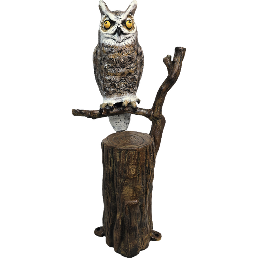 Owl on Tree Branch