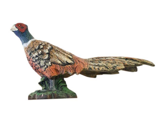 Pheasant Quail Bird