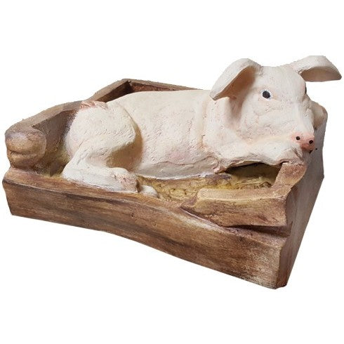 Pig in Crate