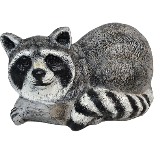 Raccoon