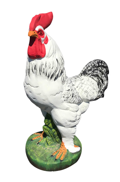 Rooster