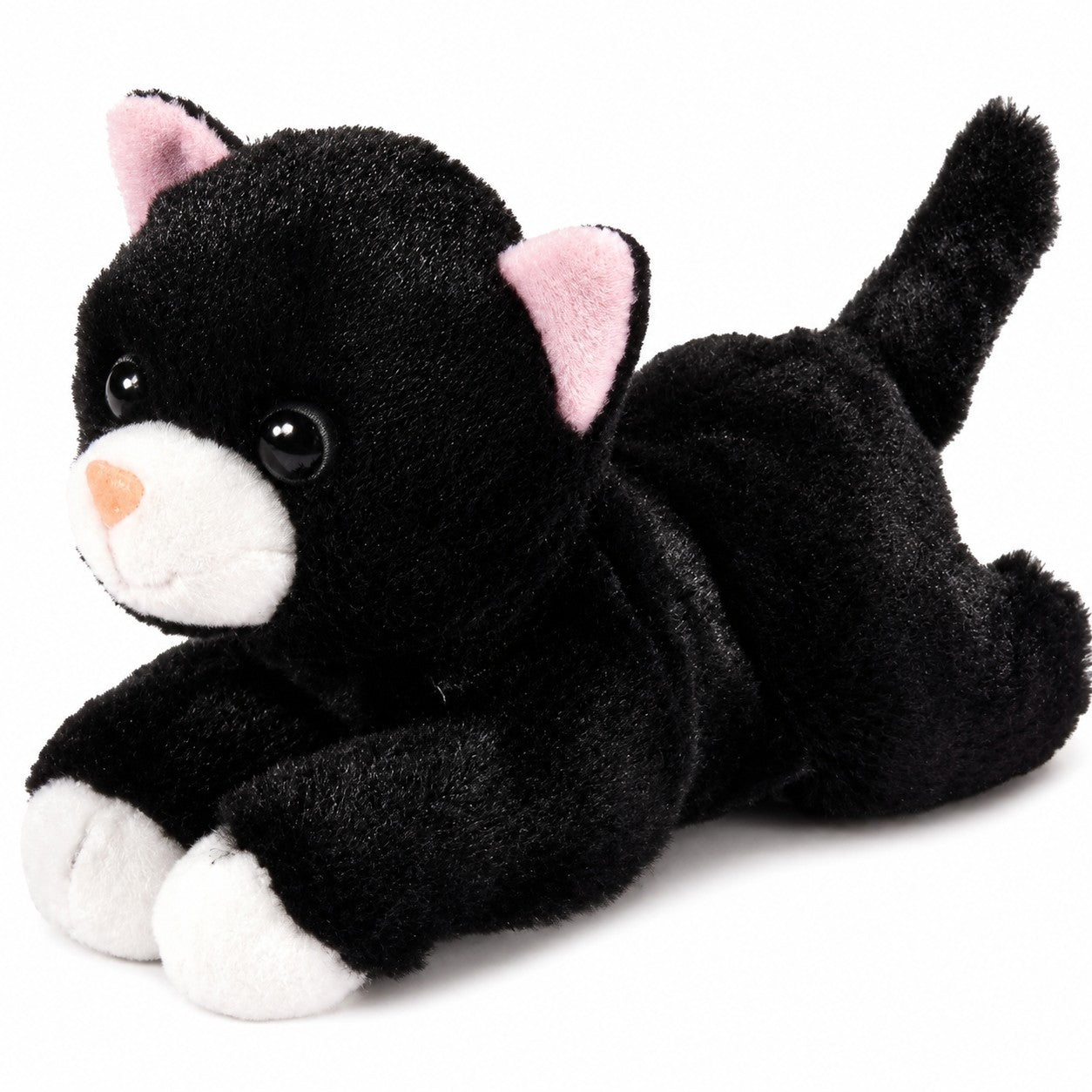 Black and White Cat 8"
