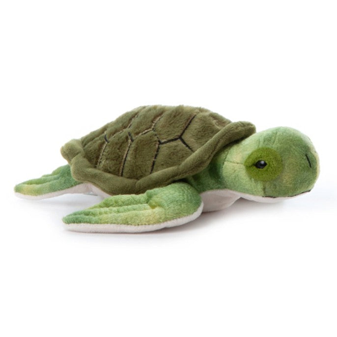 Sea Turtle 10"