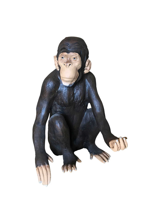 Sitting Monkey