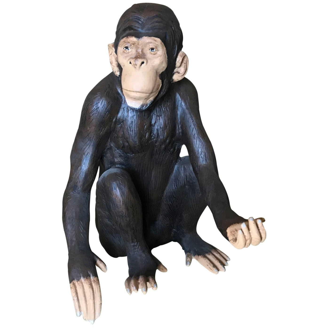 Sitting Monkey
