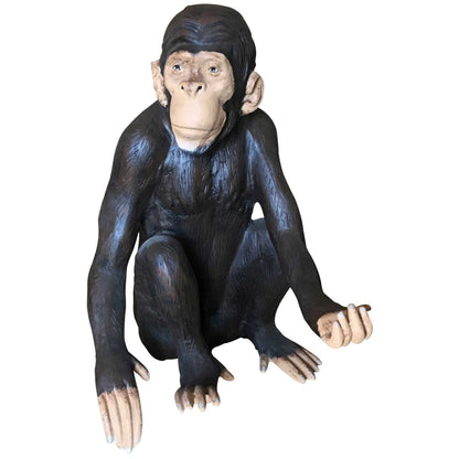 Sitting Monkey