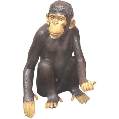 Sitting Monkey