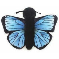 Slapstix Blue Morpho Butterfly