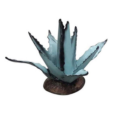 Small Agave